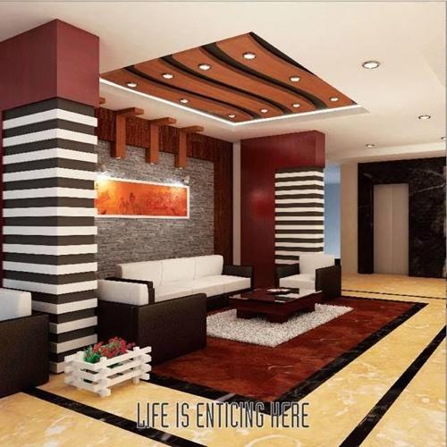  alisha Images for Main Other of Olive Alisha