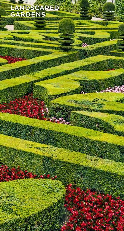 Images for Amenities of Guardian Eastern Meadows