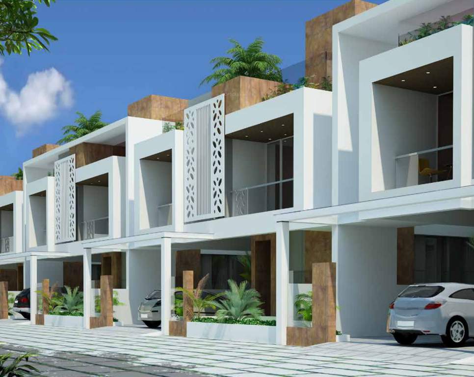  little lillies Images for Elevation of Langval Little Lillies