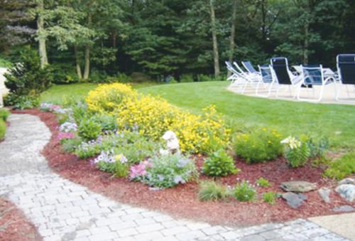 Images for Amenities of Ashapuri The Sacred Basil