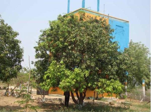 Images for Main Other of Sai Nikita Estates Pvt Ltd Brundavanam III Images for Main Other of Sai Nikita Estates Pvt Ltd Brundavanam III