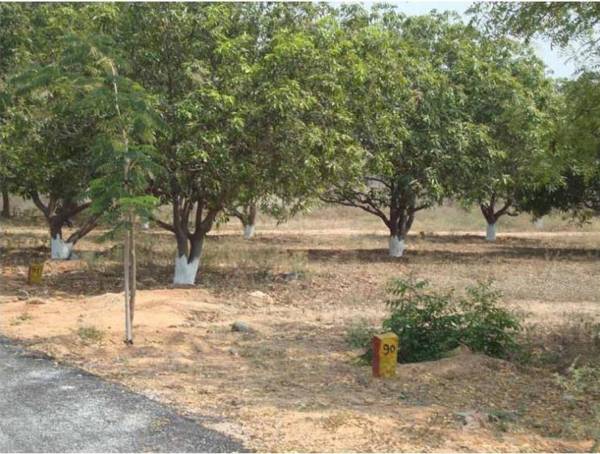 Images for Main Other of Sai Nikita Estates Pvt Ltd Brundavanam III Images for Main Other of Sai Nikita Estates Pvt Ltd Brundavanam III