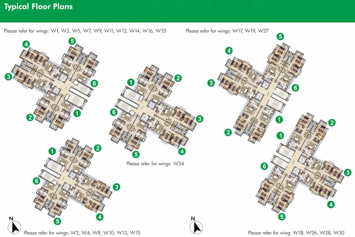 amara Wing 1 To 35 Typical Cluster Plan
