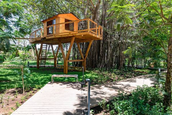  codename-crown-jewel Others