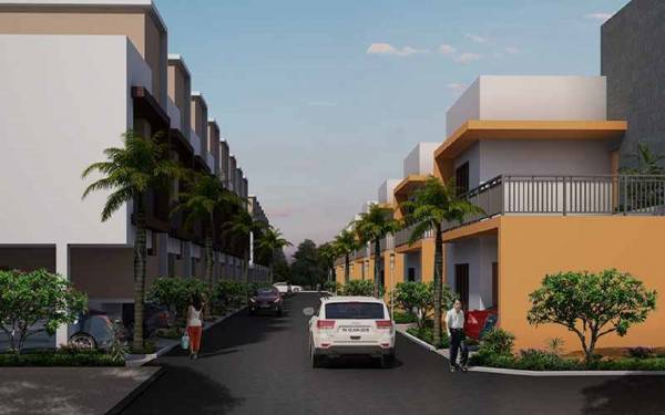  felicia Internal Roads