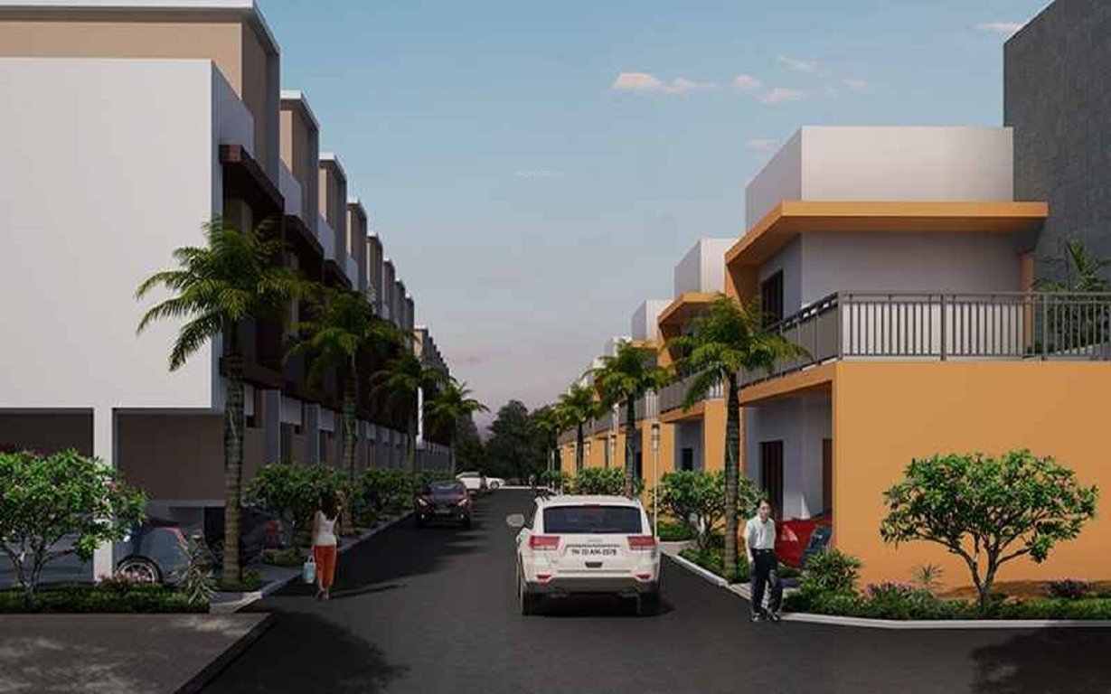  felicia Internal Roads