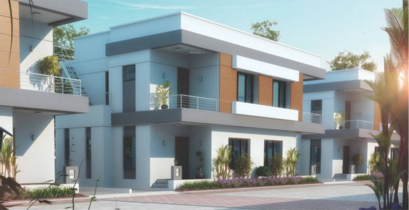 springfield Elevation