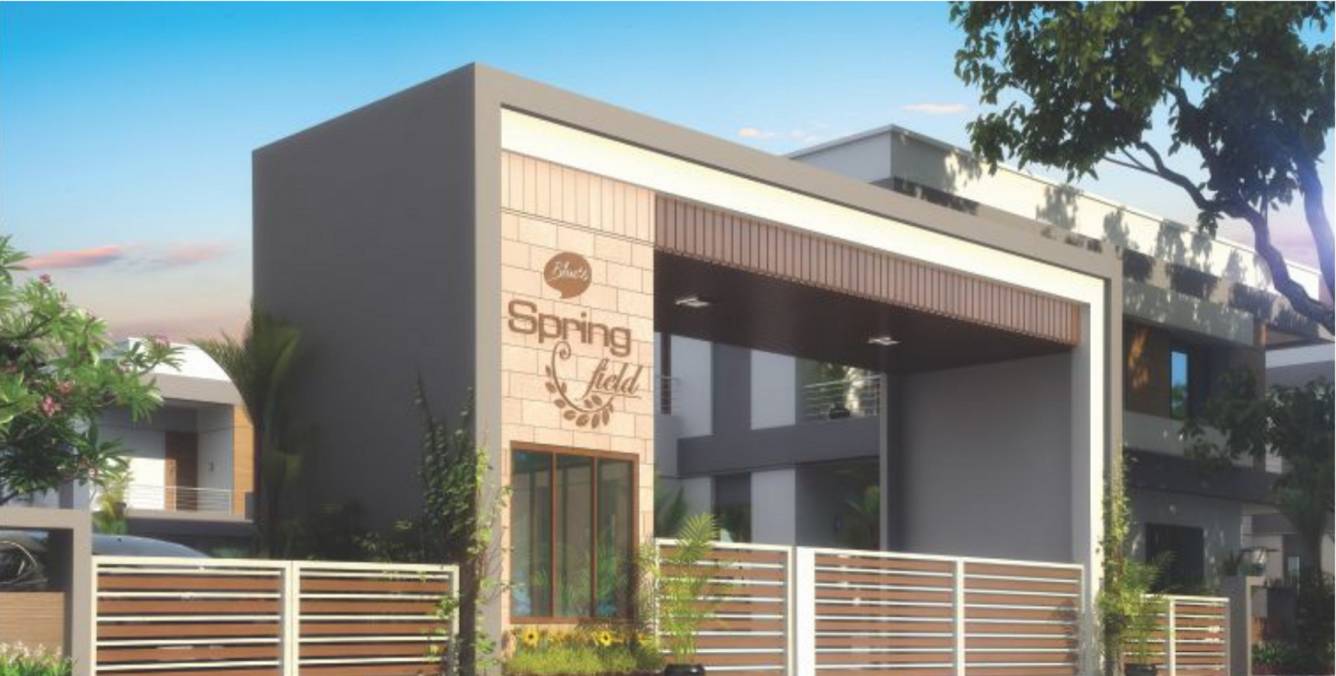 springfield Elevation