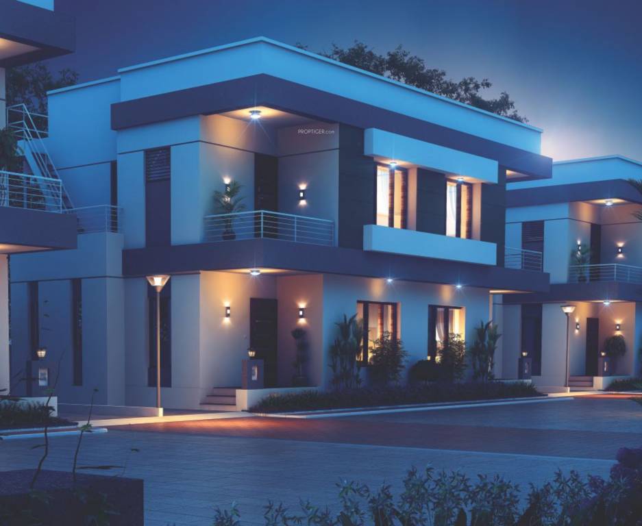 springfield Elevation