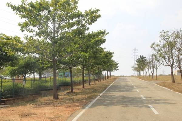 Others nithyanandhasagara-layout Others