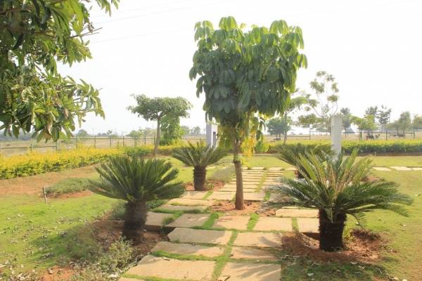 Others nithyanandhasagara-layout Others