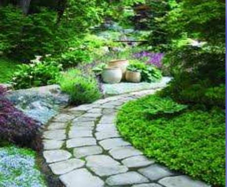  jirawala-paradise Others