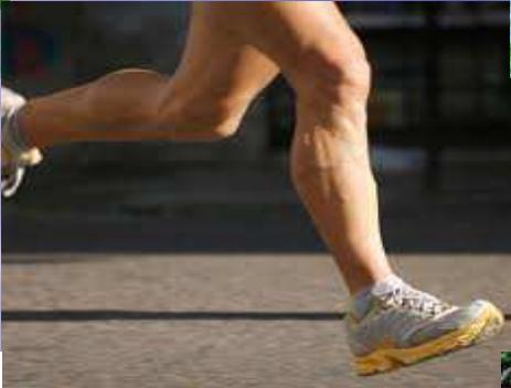  jirawala-paradise Others