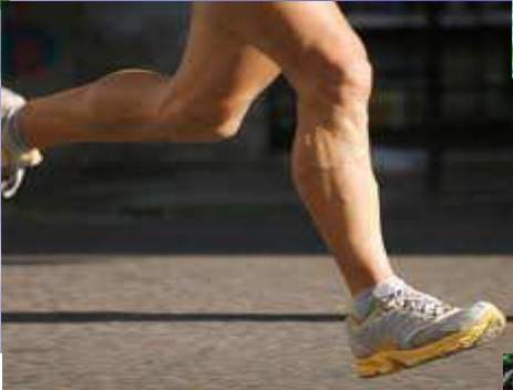 jirawala paradise Others