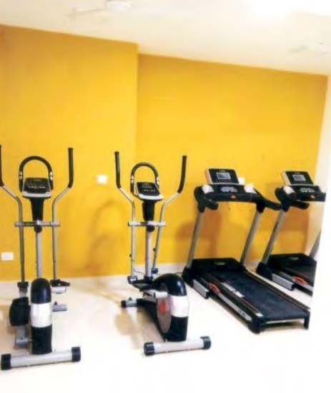 Gymnasium aristo Gymnasium