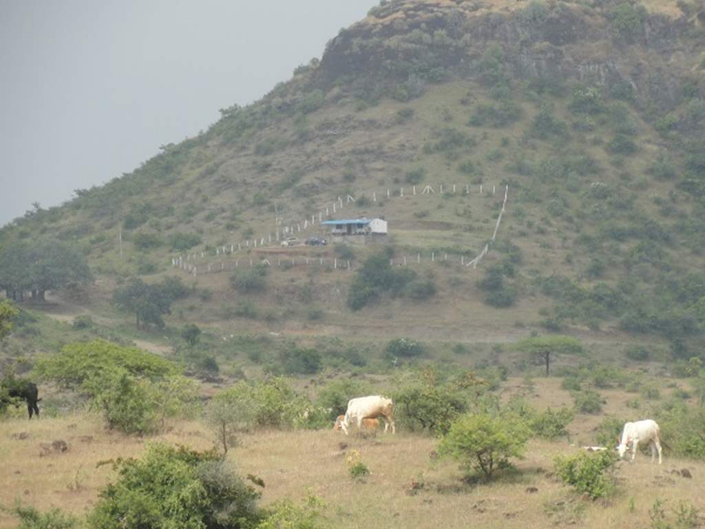 Images for Main Other of Temple Rose City Phase I