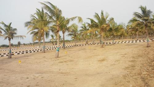 Images for Main Other of Vetri Sri Sai City