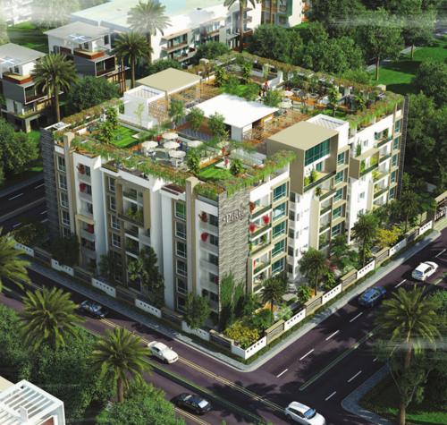  pride Images for Elevation of Ayyanna Pride