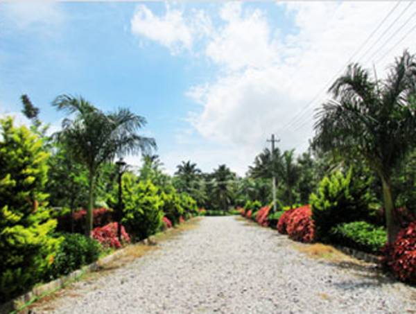 Images for Amenities of Clear The Natural Eqation Phase II