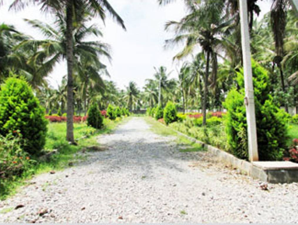 Images for Amenities of Clear The Natural Eqation Phase II