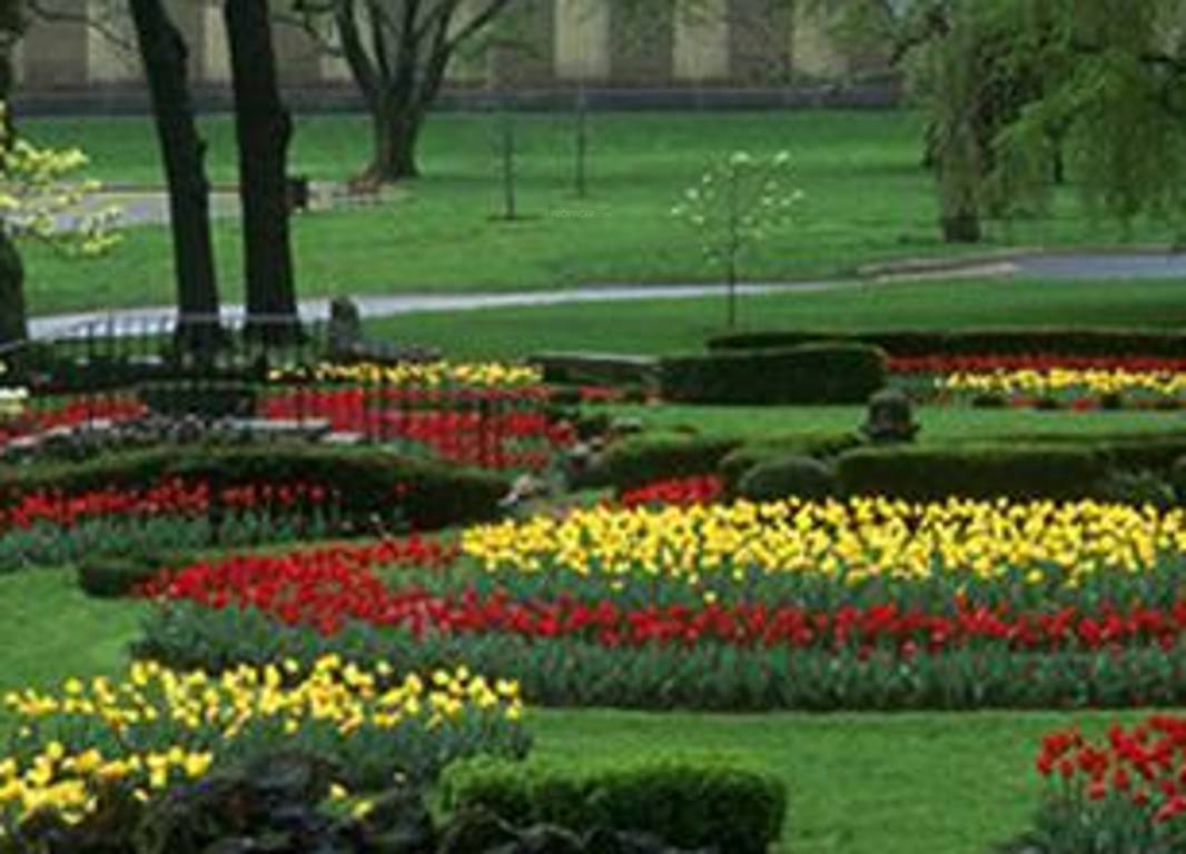 Images for Amenities of Clear The Natural Equation