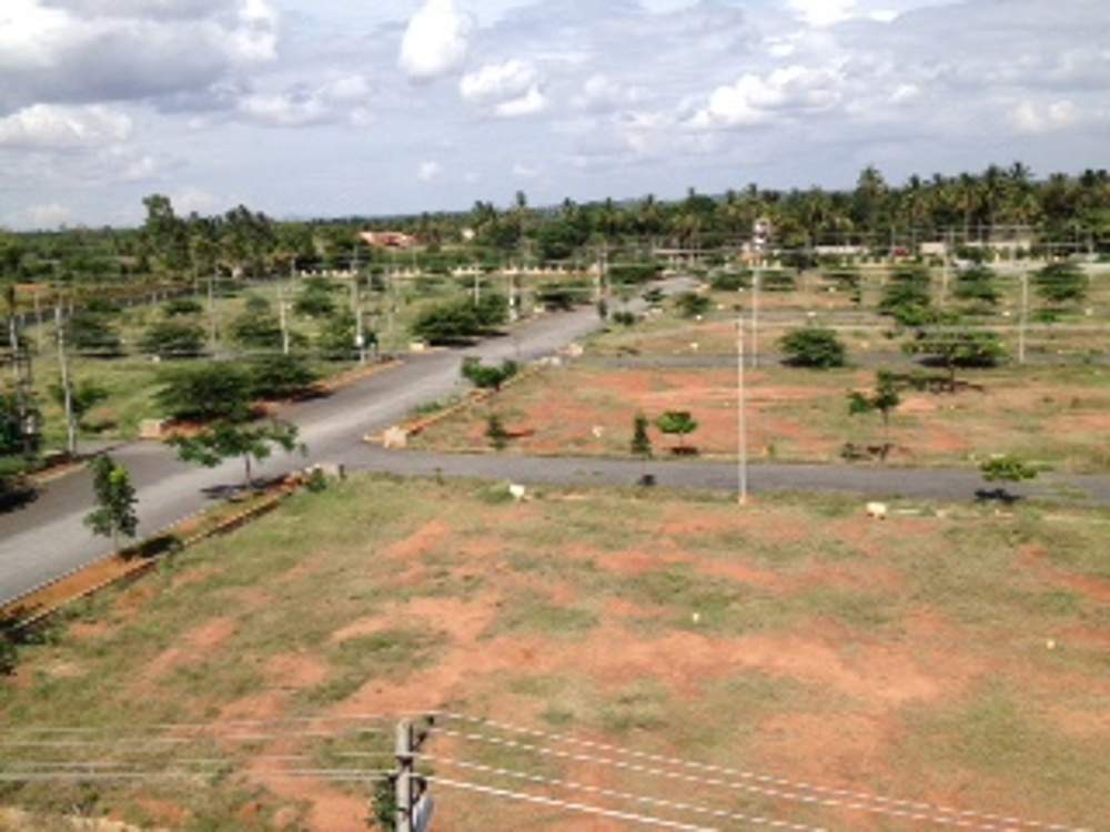  city Images for Main Other of Platinum City