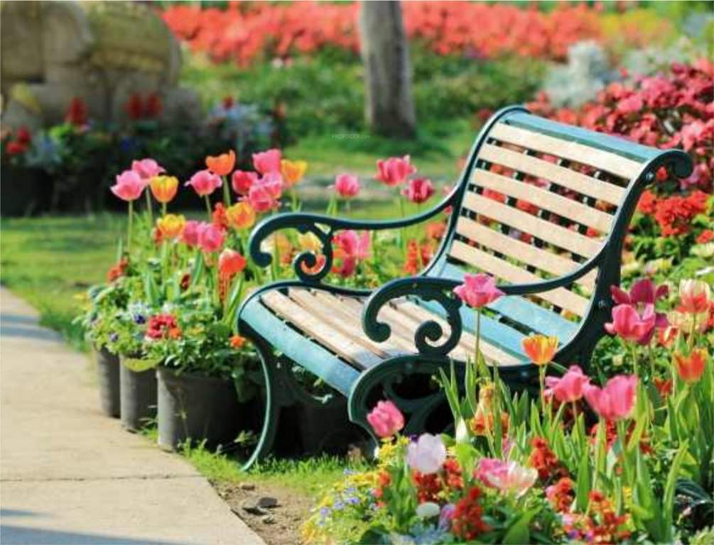 Images for Amenities of Omkar Namrata Gloria