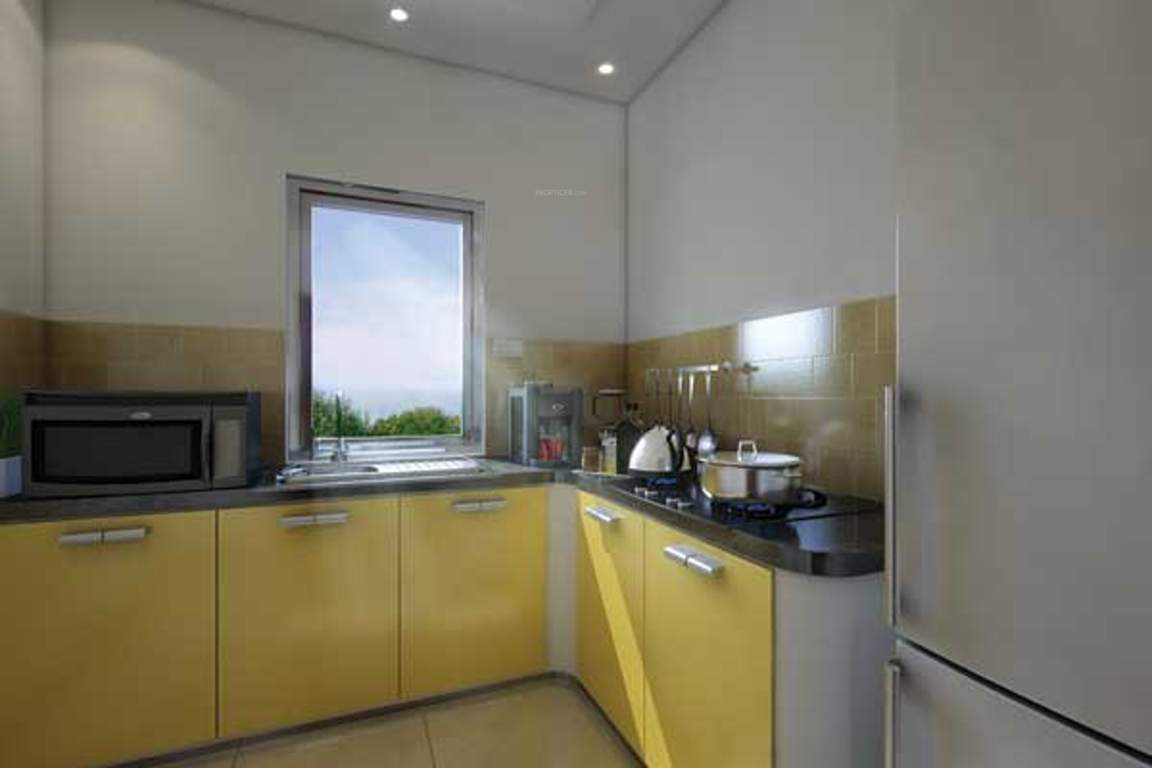 aura Images for Main Other of Primarc and Riya group Aura