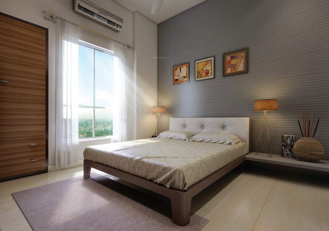 aura Images for Main Other of Primarc and Riya group Aura