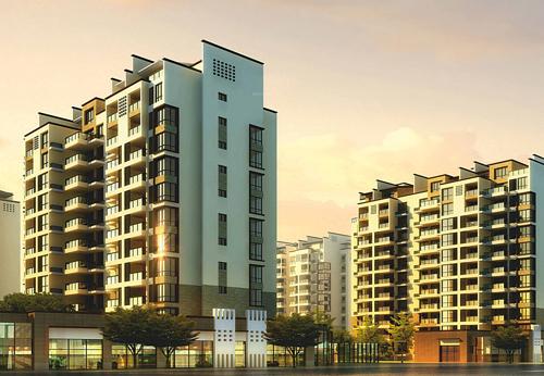  nest Images for Elevation of VVIP Nest