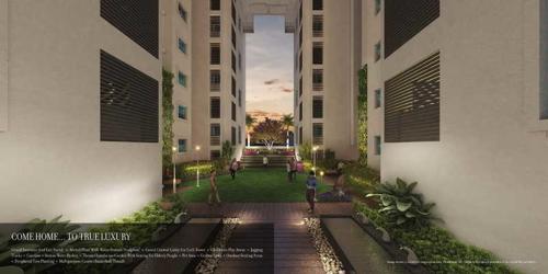  24k-grazio Landscape Garden and Tree Planting