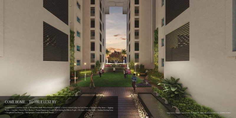  24k grazio Landscape Garden and Tree Planting