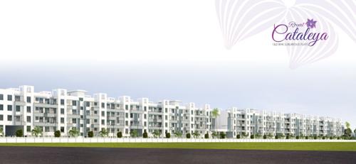  cataleya Images for Elevation of Royal Cataleya