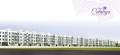 Royal Group Of Developers Cataleya