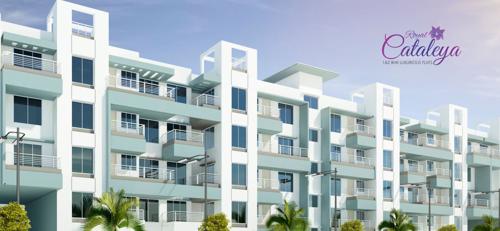  cataleya Images for Elevation of Royal Cataleya