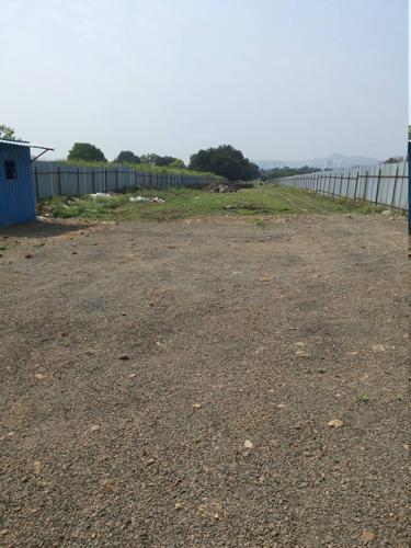  cataleya Images for Main Other of Royal Cataleya