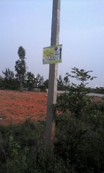 Images for Main Other of Pangea Royal Garden Images for Main Other of Pangea Royal Garden