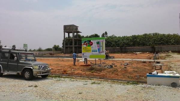 Images for Main Other of Pangea Royal Garden Images for Main Other of Pangea Royal Garden