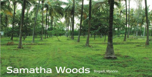samatha-group woods Main Other