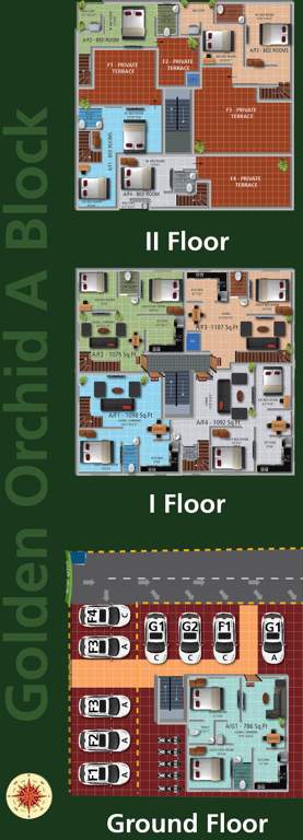 Images for Cluster Plan of Real Golden Orchid