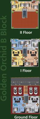 Images for Cluster Plan of Real Golden Orchid