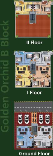 Images for Cluster Plan of Real Golden Orchid Images for Cluster Plan of Real Golden Orchid