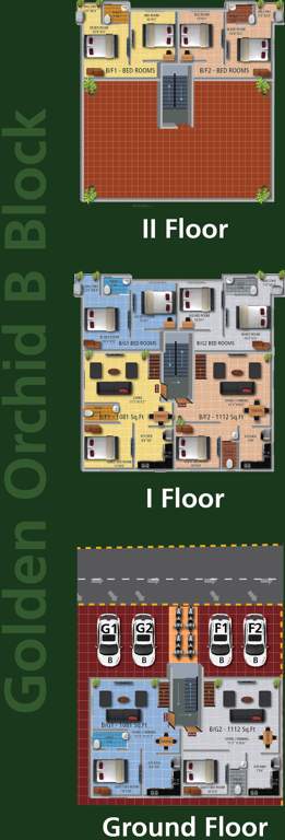 Images for Cluster Plan of Real Golden Orchid