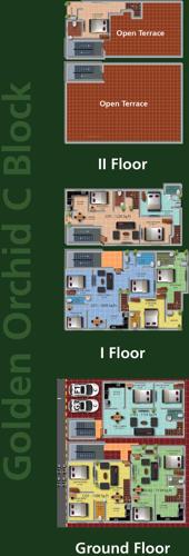 Images for Cluster Plan of Real Golden Orchid Images for Cluster Plan of Real Golden Orchid