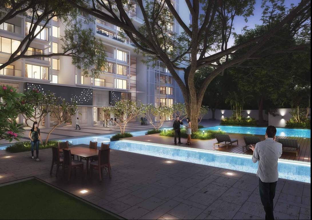 mm meridian Landscape Garden and Tree Planting