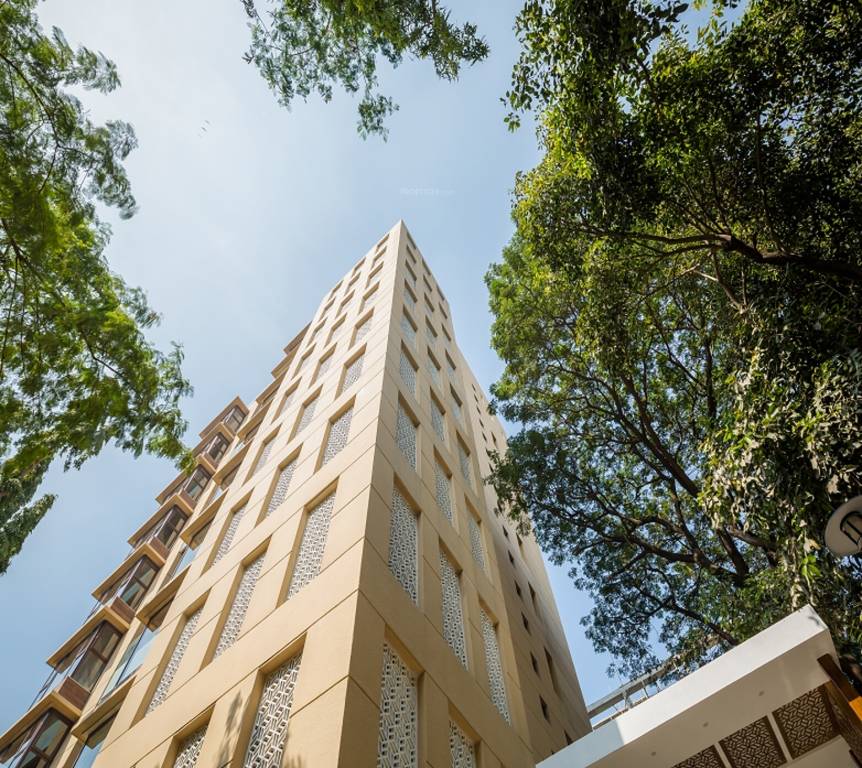  esperanza Images for Elevation of Clover Esperanza