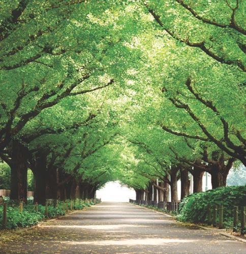 Main Other vrinda-eco-garden villas Main Other