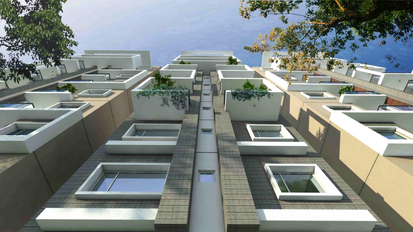  tridax Images for Elevation of SSVR Tridax