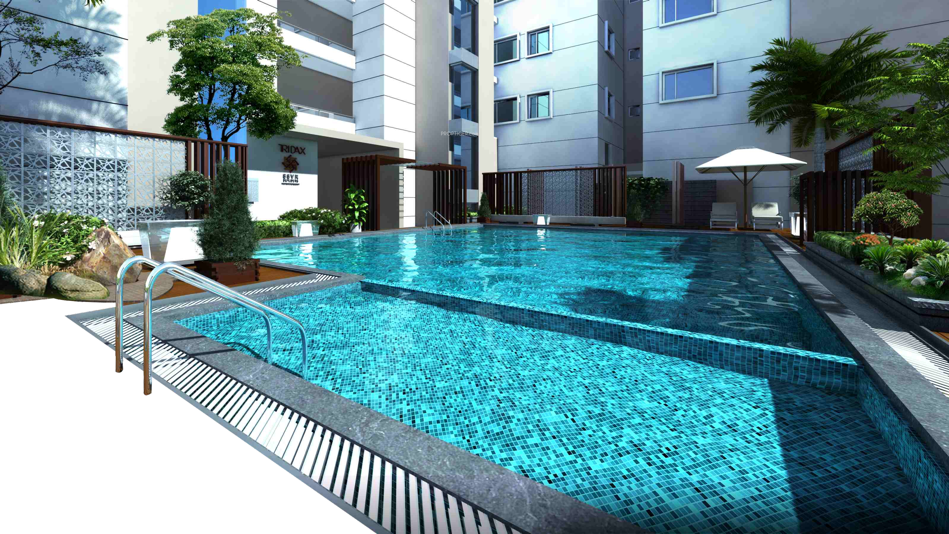  tridax Swimming Pool