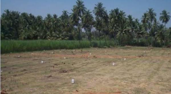 Images for Main Other of Omm Info Colony Images for Main Other of Omm Info Colony